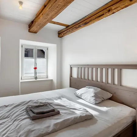 Arena * غايزينغن