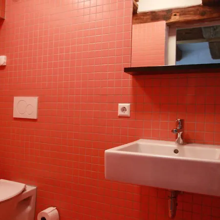 Arena * غايزينغن